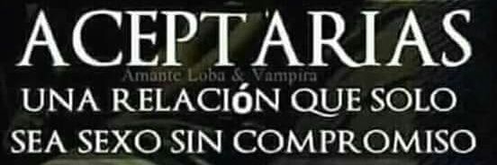 elpotrorico's profile banner image