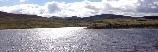 hfishaay Profile Banner