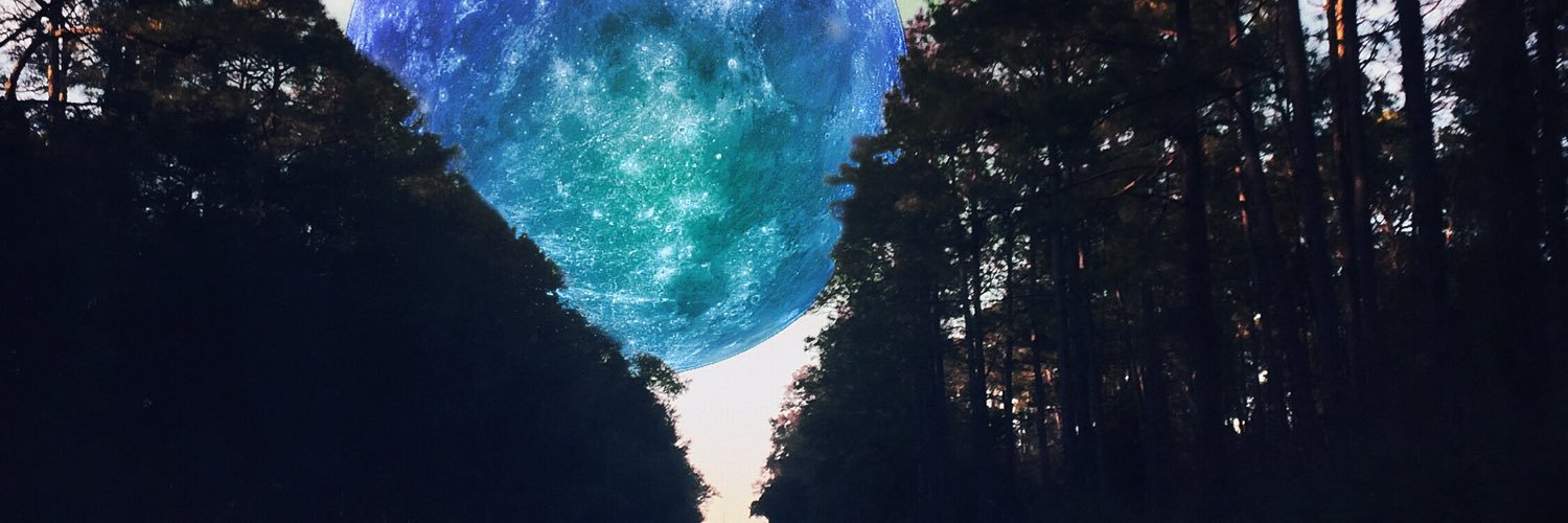 SaladwithCo's profile banner image