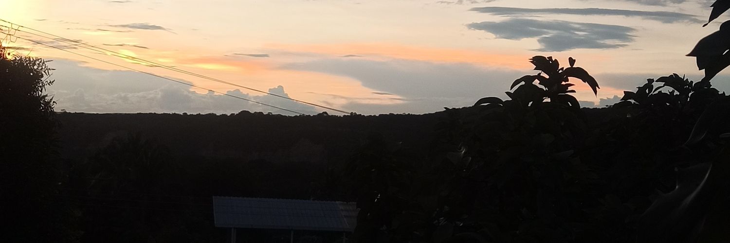 Felborbon12's profile banner image