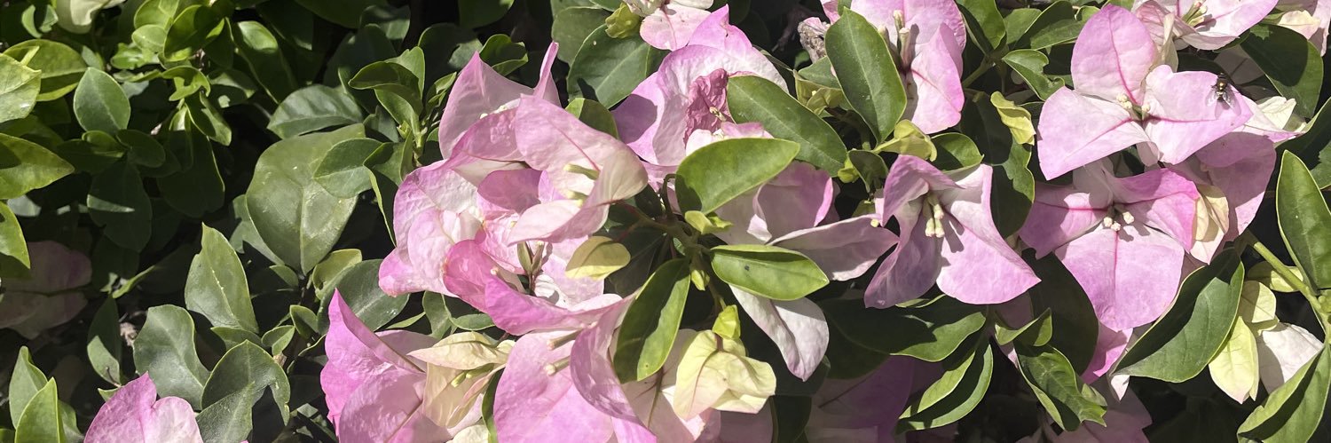 rxsssy_ banner