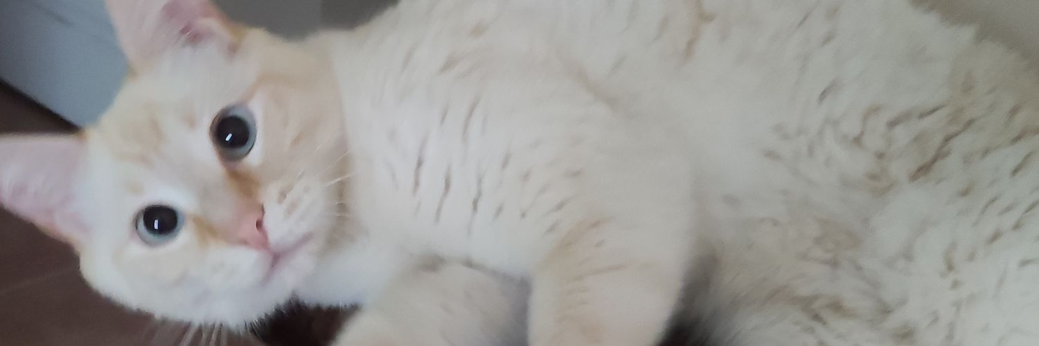 Inakicampano82's profile banner image