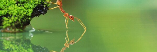 aravinthTME Profile Banner