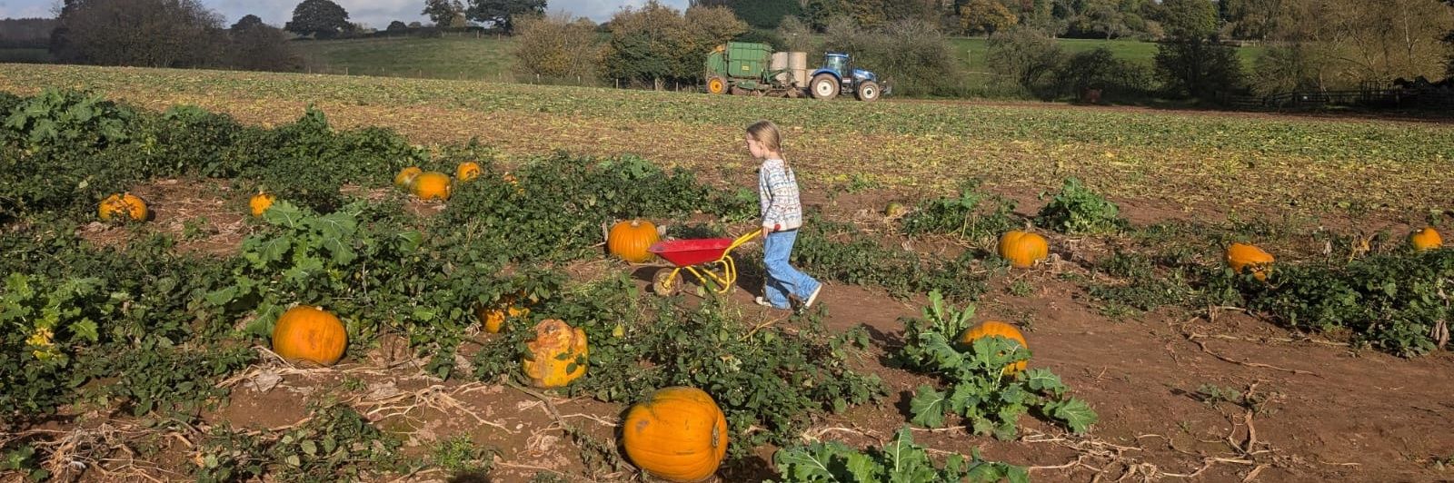 Roberta Cornforth banner