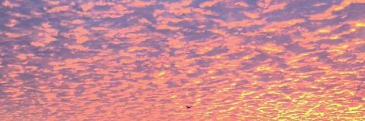 SarSar13989's profile banner image