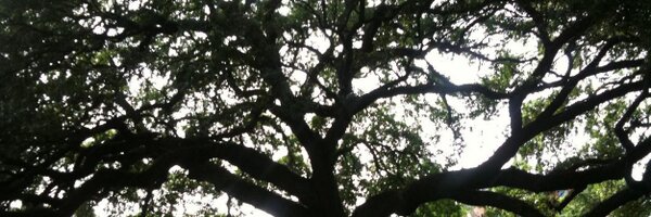 mikesteelyAR Profile Banner