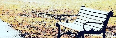 danimorri_'s profile banner image