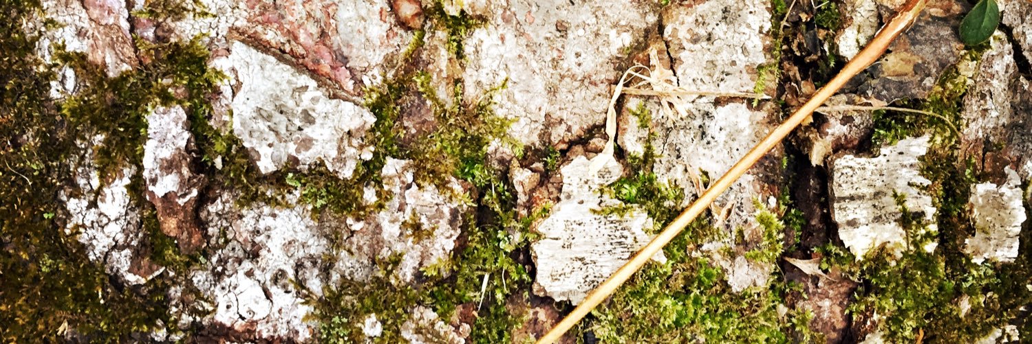 Christina Wilson banner
