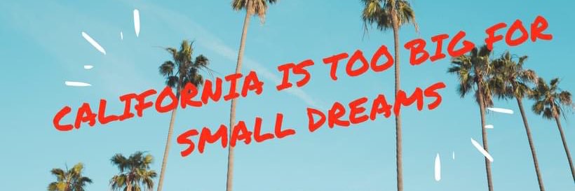 California Young Republicans's banner