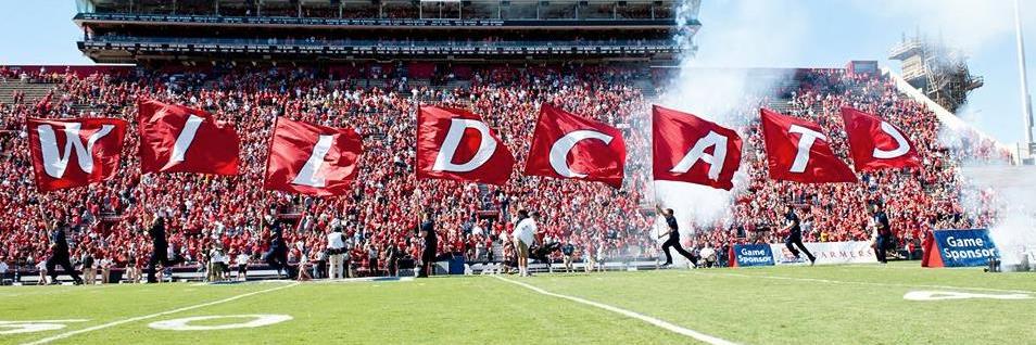CactusCats banner