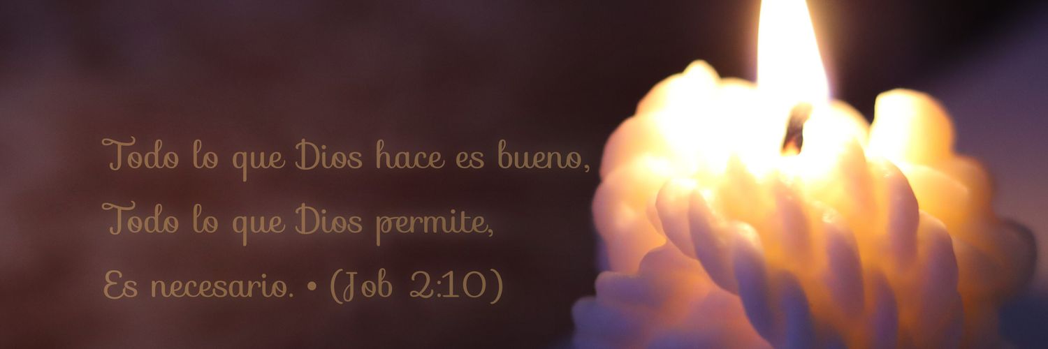 PhotobyZuly's profile banner image