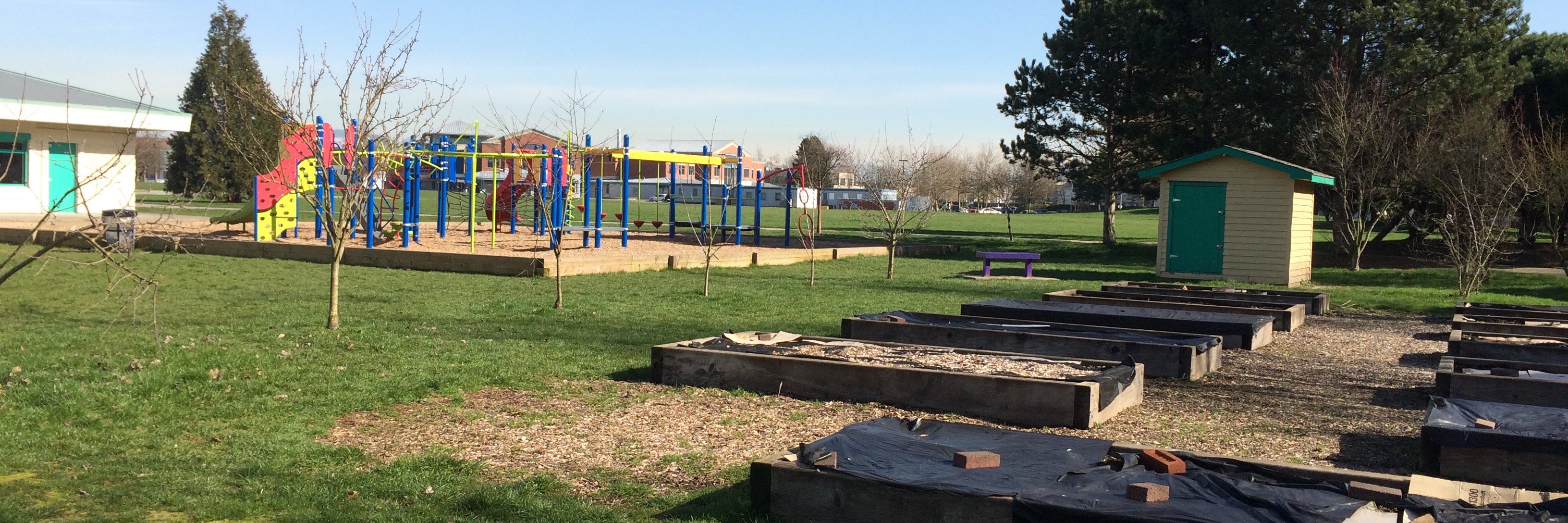 mcneelyelementary banner