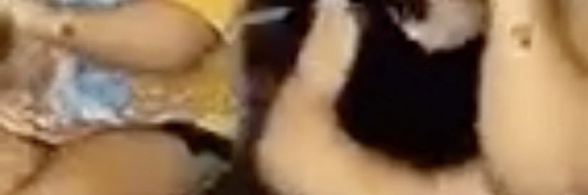 queendobraz's profile banner image
