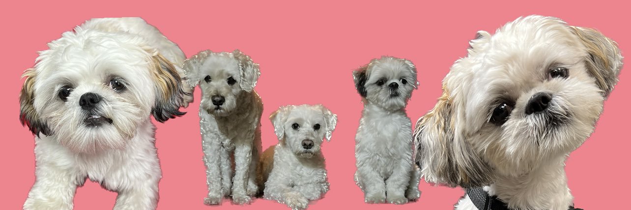 erisg7's profile banner image