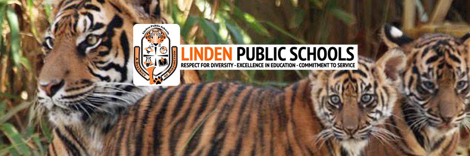 SocialStudiesLPS banner