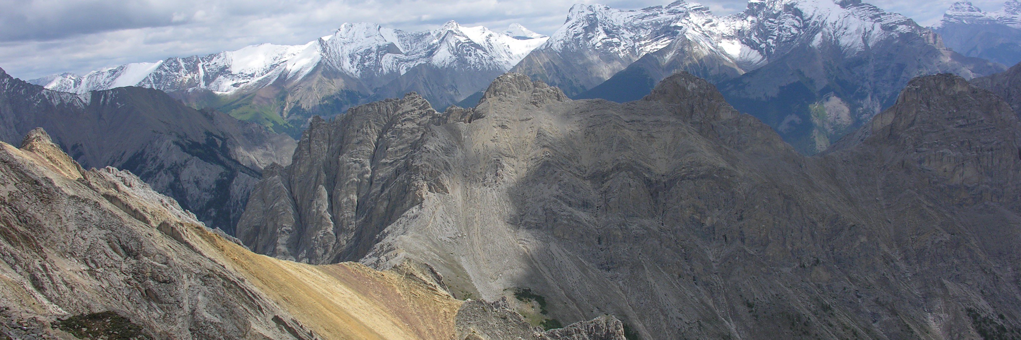 NMT/NME Network banner