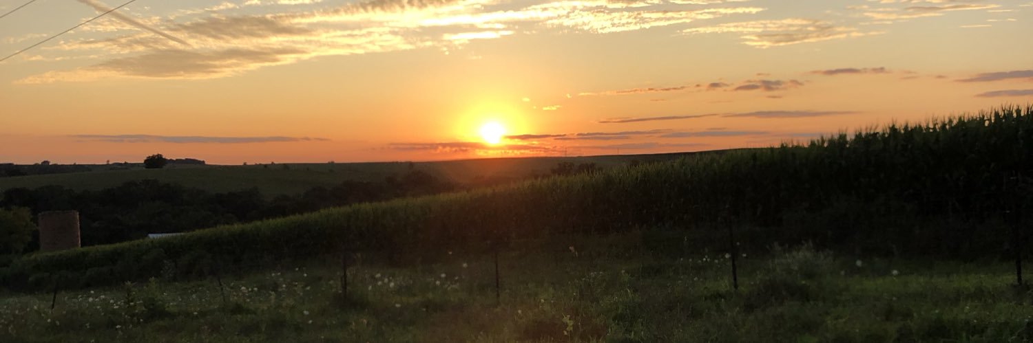 Ashley Steffes banner