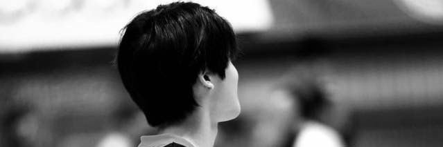 🦖 banner
