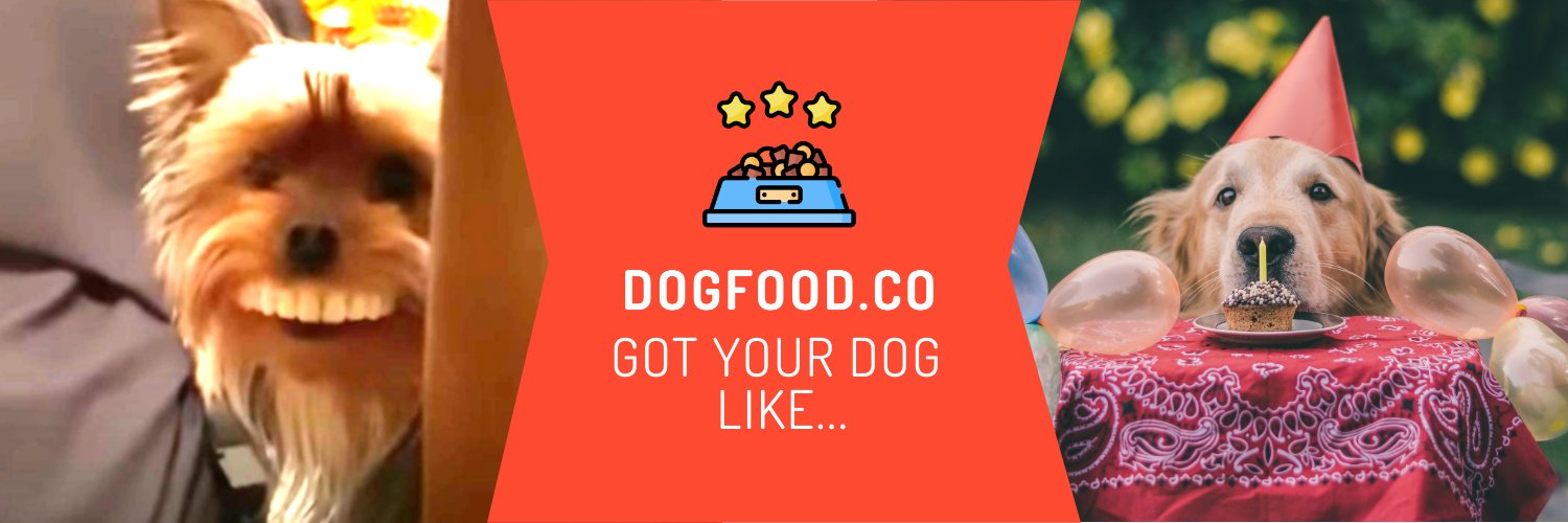 DogFoodCo's profile banner image