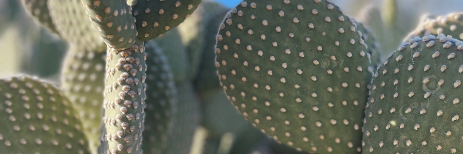 jesramos__'s profile banner image