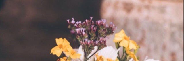 Eviitn's profile banner image