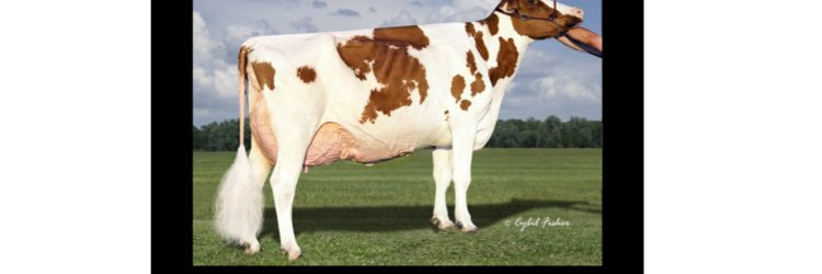AndySell1's profile banner image