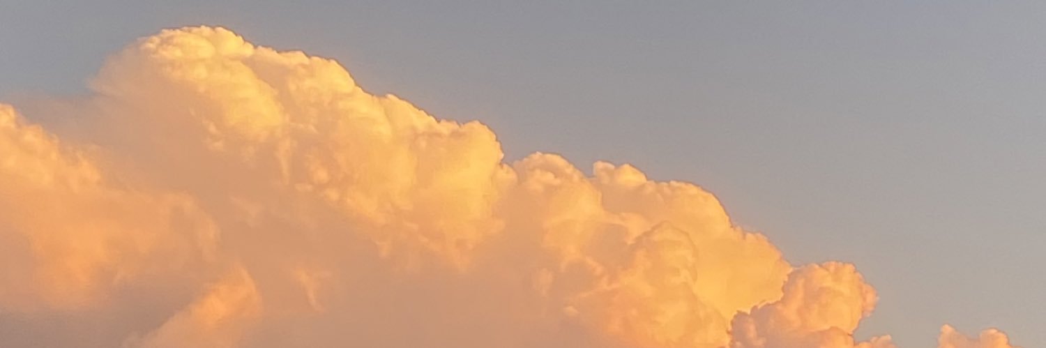 eupedrones's profile banner image