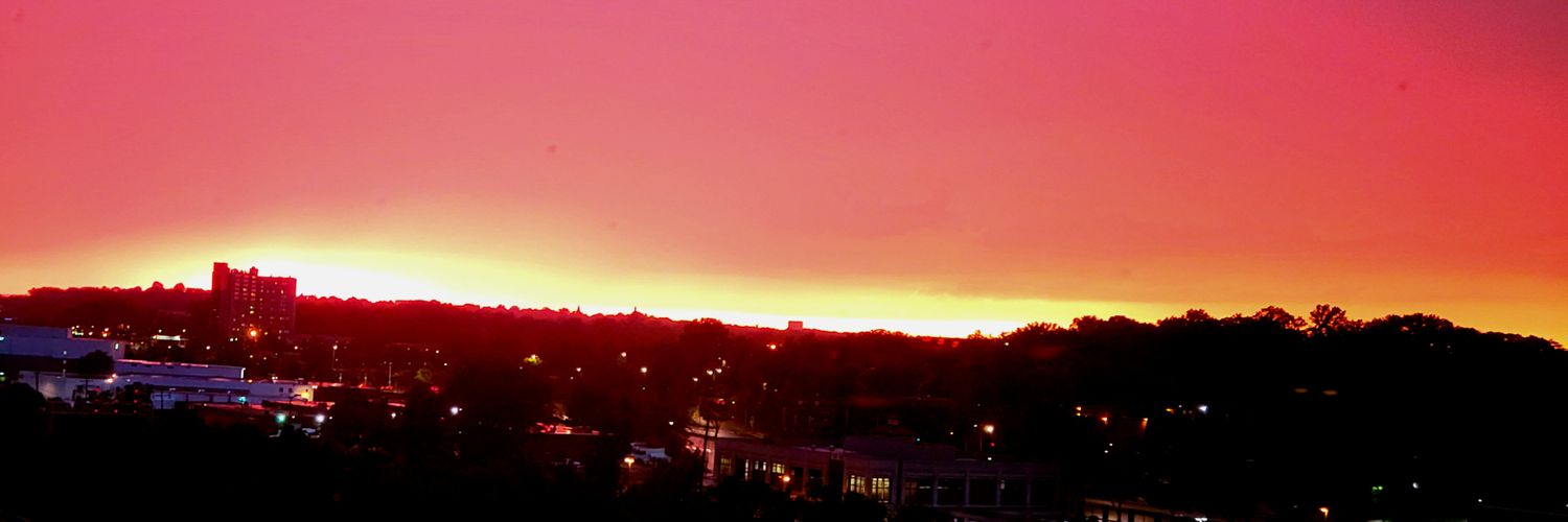 E. Colette Nelson banner