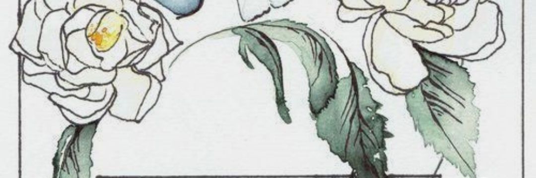 halien47's profile banner image