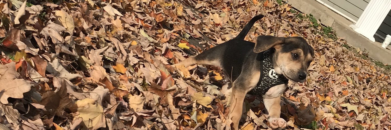 AaaayyyyCeeeee's profile banner image