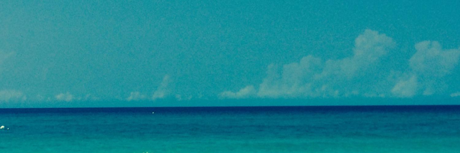 NatalieWilsonNP's profile banner image