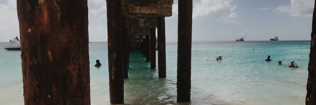 RachelJNagel's profile banner image