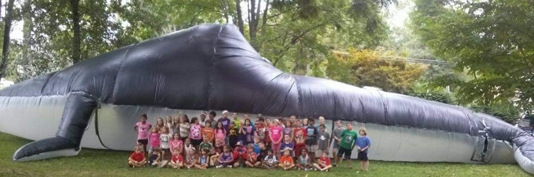 Anthony Grisillo banner