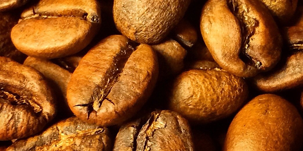 DragonflyCoffee's profile banner image