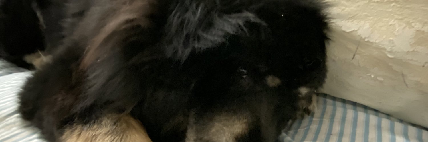 daviandof's profile banner image