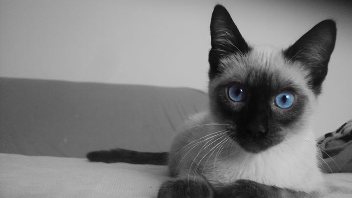 Lesly_coma's profile banner image