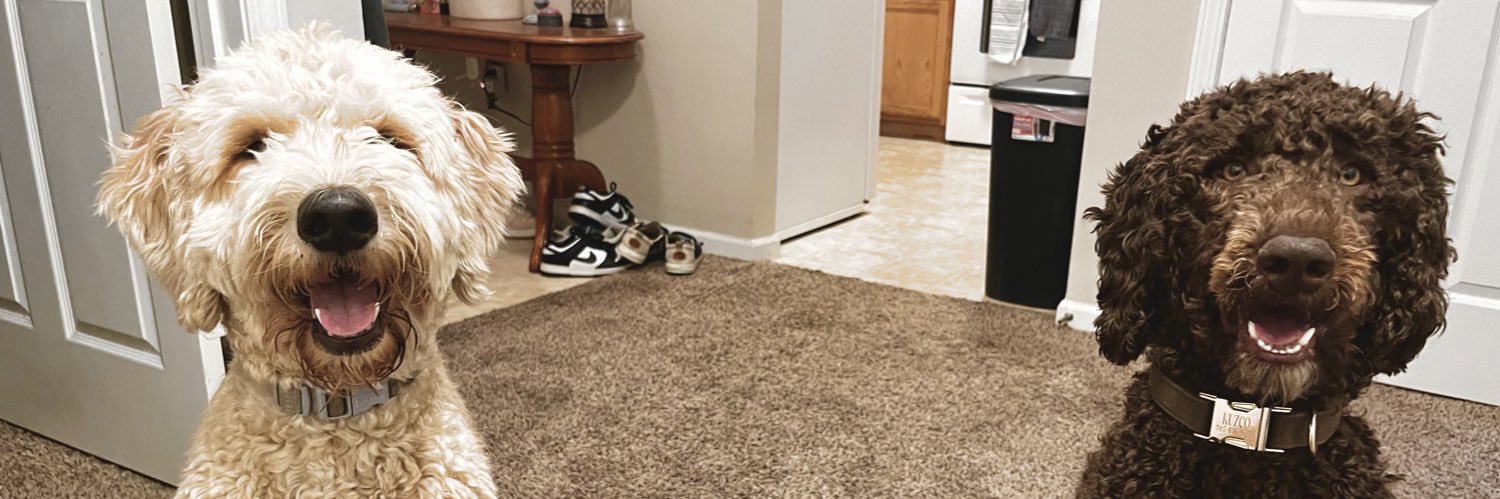 loganruddy's profile banner image