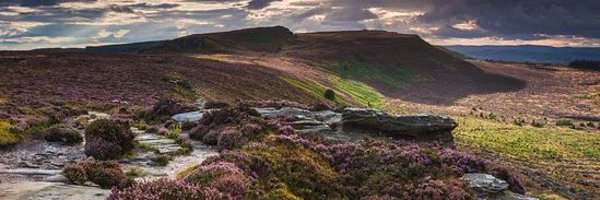 NeilWRule Profile Banner