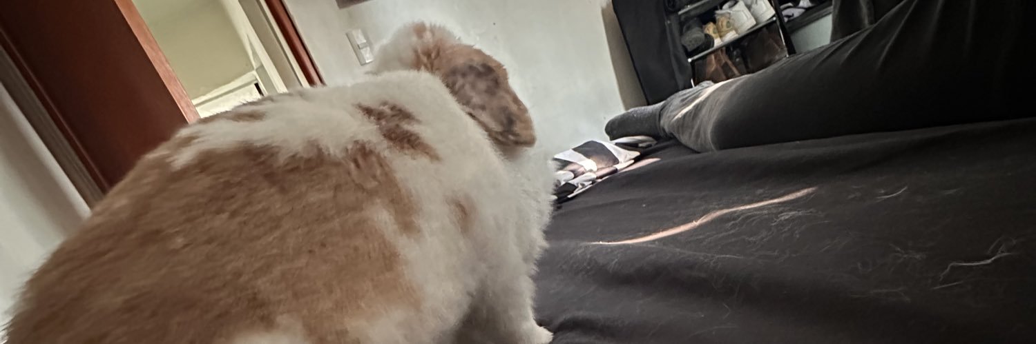 CobosRokers's profile banner image