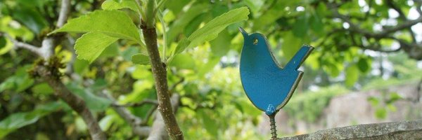 beffdizzle Profile Banner
