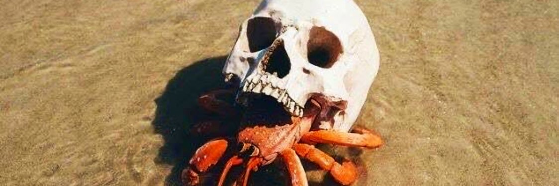 Scuba Nick 🤿 banner