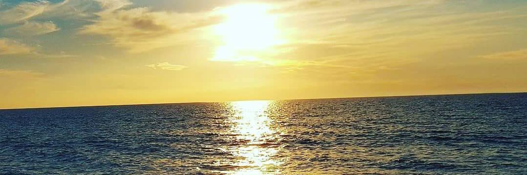 swigginsjrt's profile banner image