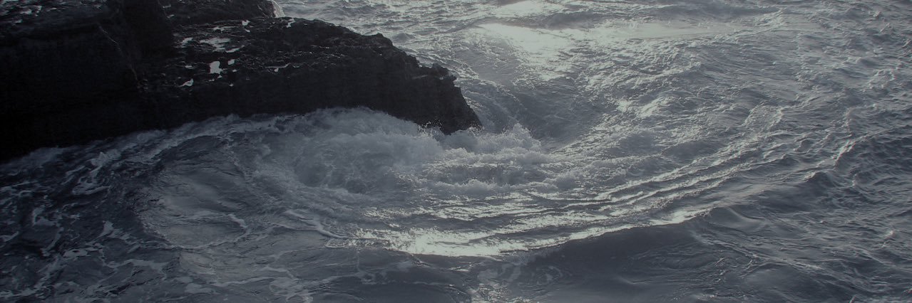 softcuore's profile banner image