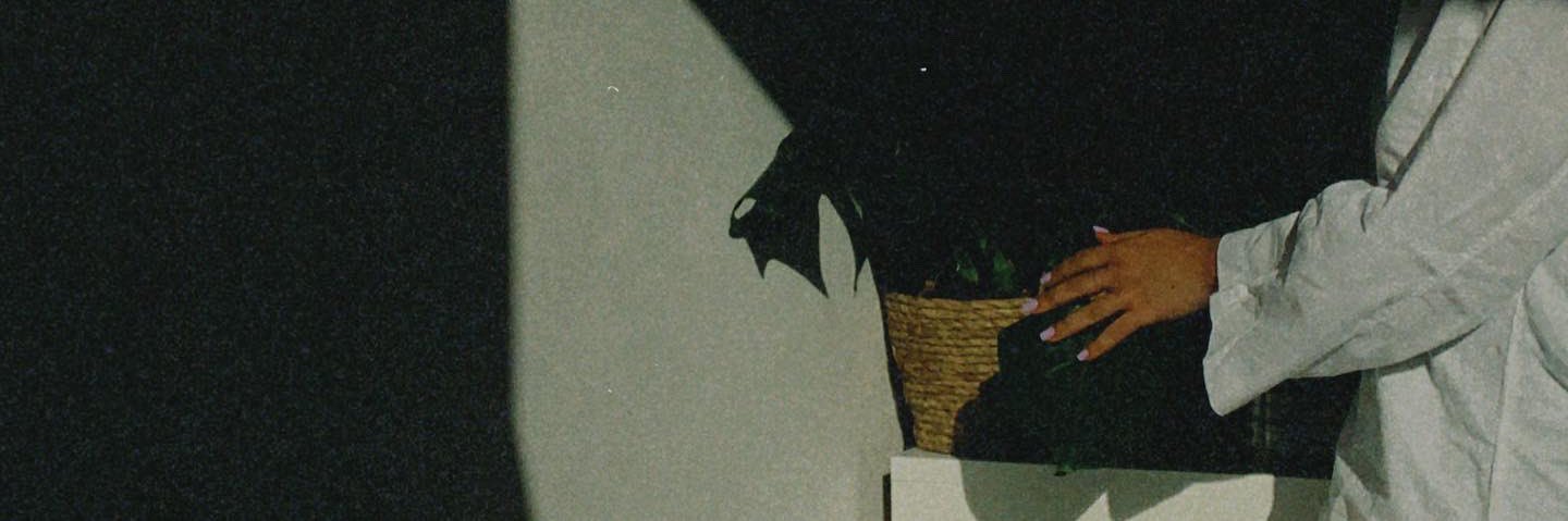brunamndss's profile banner image