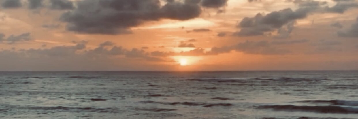 MicaFalvino's profile banner image