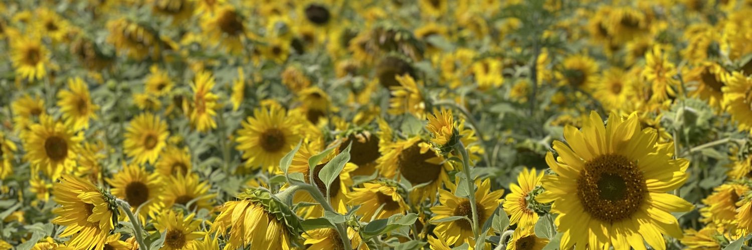 Yael Simons, MD banner