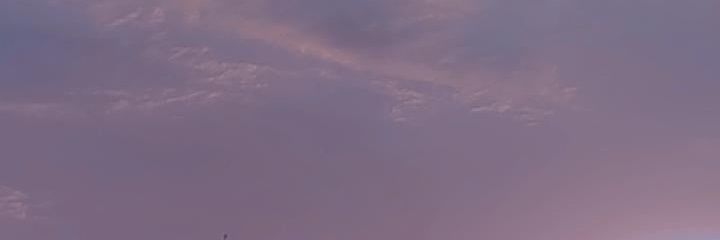 marieglispaola's profile banner image