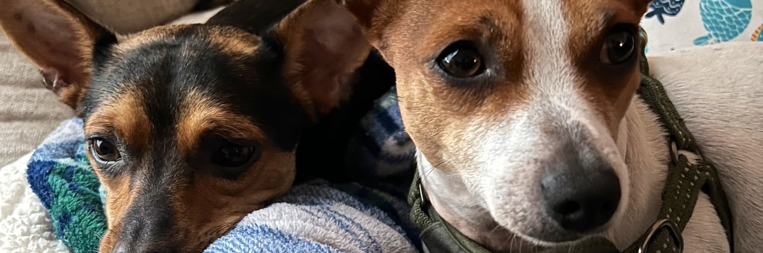 samanthav47's profile banner image