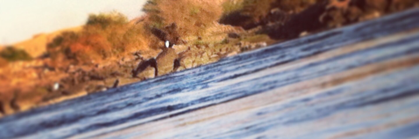 LIPRO_ALX's profile banner image