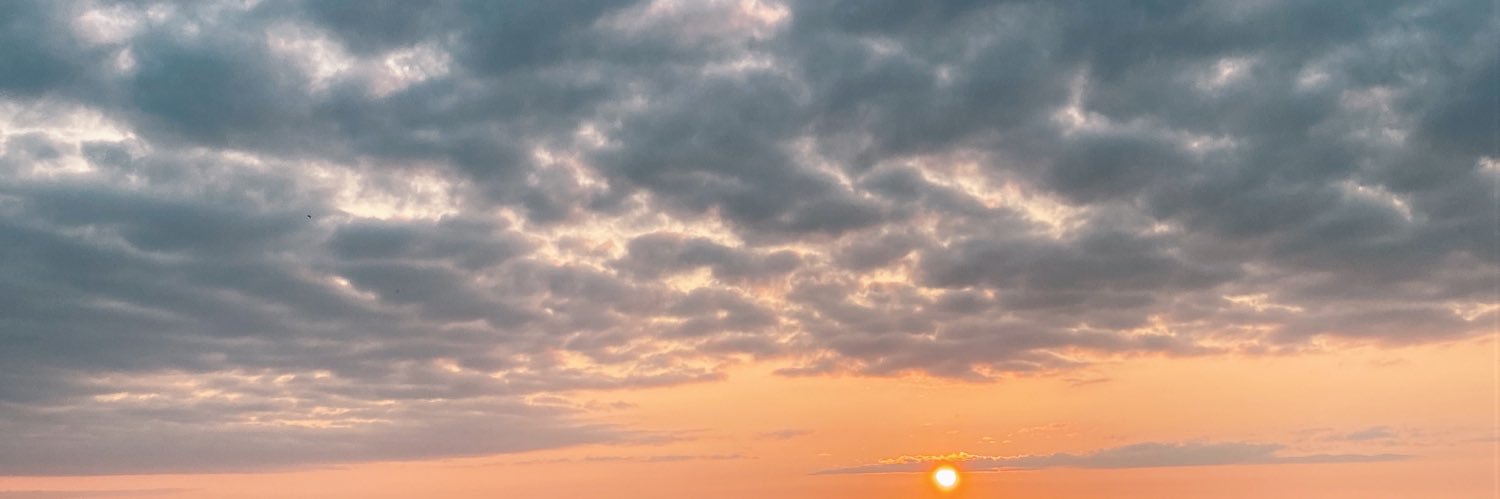 TaylenSewell's profile banner image
